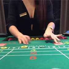 vip15